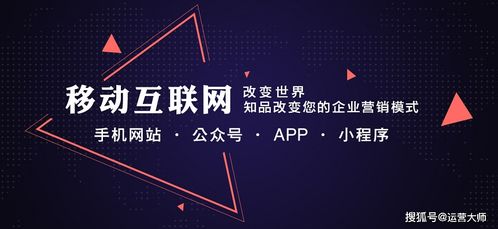 定制开发app公司 开发软件APP需要多少钱 app是怎么开发的